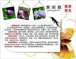 夏季养生海报