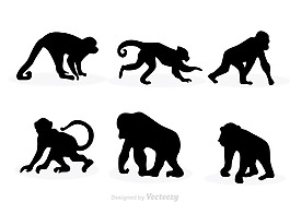 動物設(shè)計圖