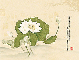 中國風蓮花