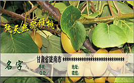 獼猴桃