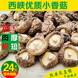 西峽干貨優(yōu)質小香菇原創(chuàng)設計