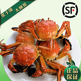 大闸蟹主图