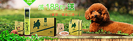 狗糧促銷海報(bào)設(shè)計(jì)