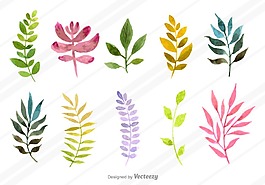 花朵設(shè)計(jì)圖