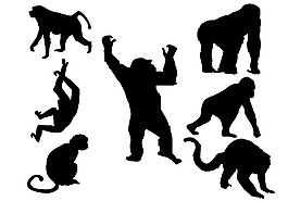 猴子設(shè)計圖