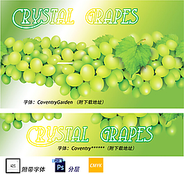 淘寶店招綠色附字體