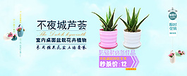 天猫设计绿色植物芦荟促销