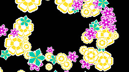 動態(tài)花朵視頻素材