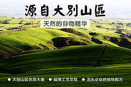 大麥茶海報(bào)設(shè)計(jì)