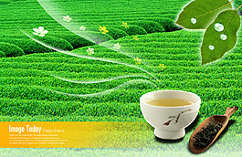 茶