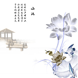小池荷花