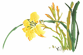 水仙水墨畫(huà)