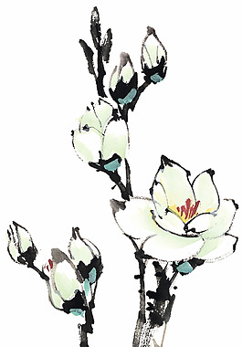 白色梅花水墨畫