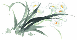 水仙花水墨畫
