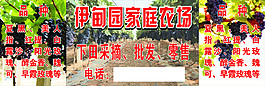 葡萄園店招