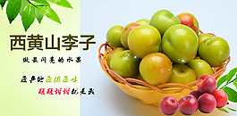 西黃山李子
