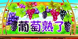葡萄