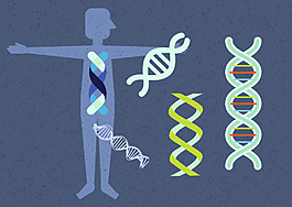 DNA 設(shè)計(jì)圖