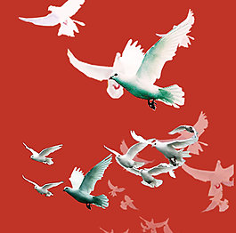 小鴿子海報(bào)