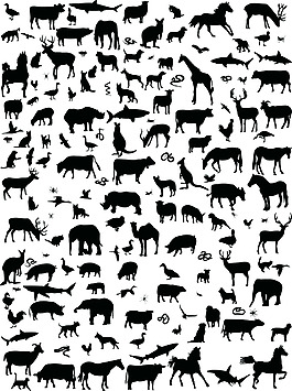 矢量動物