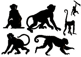 猴子設(shè)計圖