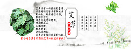 艾草海報