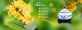 桂花海報