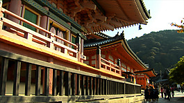 莊園視頻素材