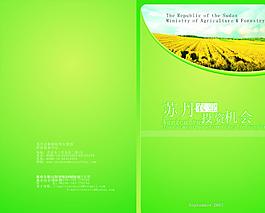 表皮設計圖片