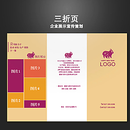 三折頁(yè) 企業(yè)宣傳圖片