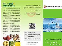 公司三折頁圖片