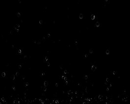 水珠視頻素材