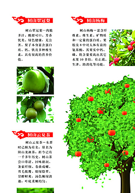 水果特產(chǎn)折頁(yè)圖片