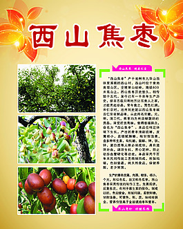 西山焦棗海報
