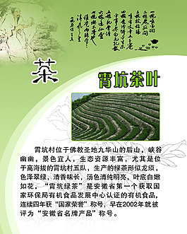 肖坑茶葉海報(bào)