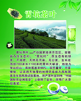 肖坑茶葉海報(bào)