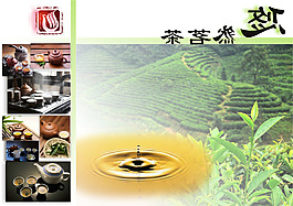 悠然茗茶