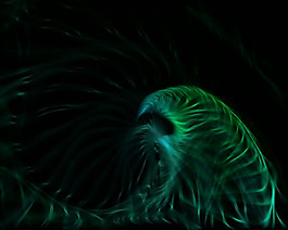 光效煙霧模板視頻素材
