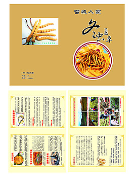 冬蟲(chóng)夏草