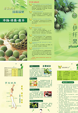瘦身折頁圖片