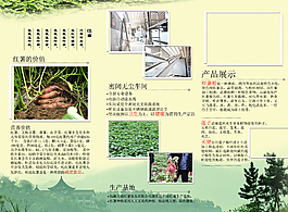 紅薯產品三折頁圖片