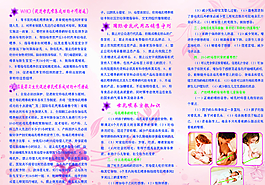 彩頁 三折頁 粉色 母圖片