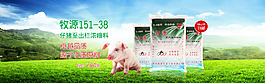 淘寶素材PSD素材豬飼料大圖