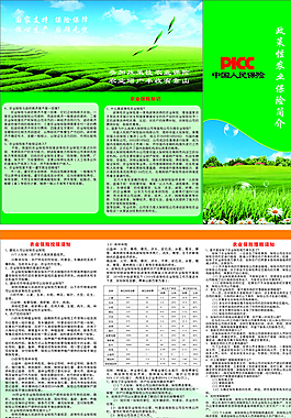 保险折页图片