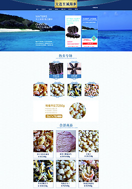 海参首页模板详情