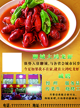 龍蝦圖片