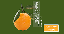 水果橙子海報圖