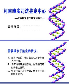 親子鑒定名片