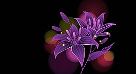 鲜花
