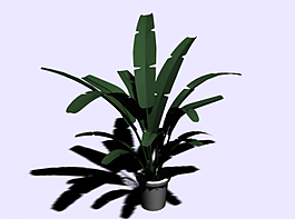 家居植物模型图片
